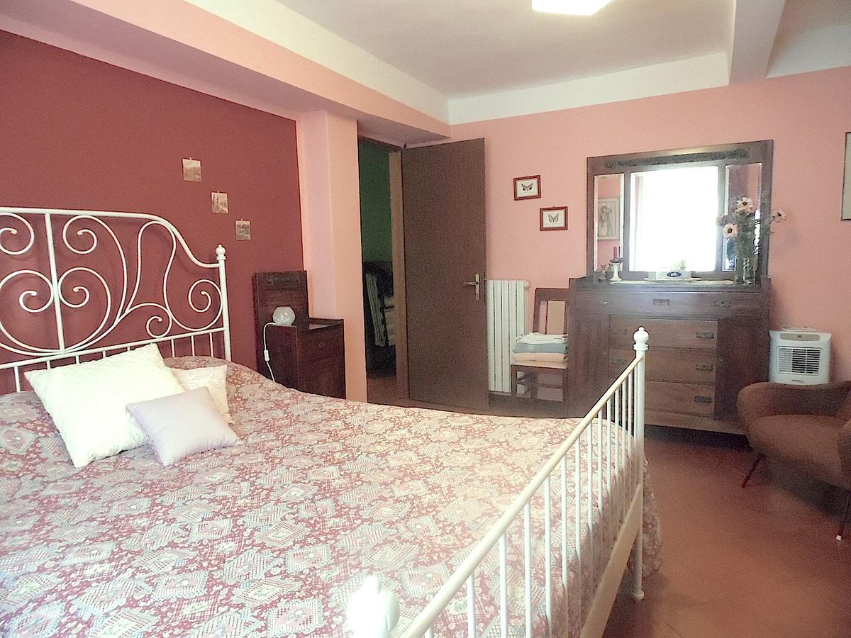 Apartment Nina 卢卡 外观 照片
